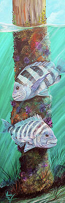 Sheepshead Print