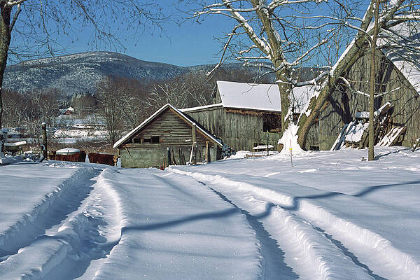Ma Wall Art featuring the digital art Sheffield In Winter, Berkshire County Ma by Stephen G. Donaldson
