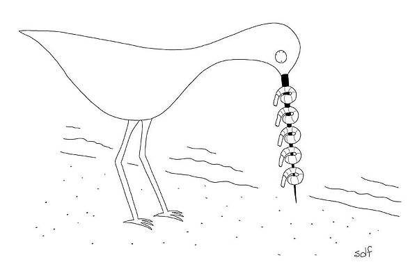 Seagull Wall Art featuring the drawing Shrimp Skewer by Seth Fleishman