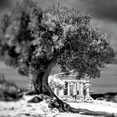 Destination Wall Art featuring the digital art Sicily, Agrigento, Italy by Alessandro Saffo