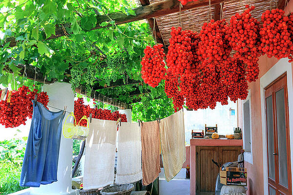 Wine Wall Art featuring the digital art Sicily, Salina, Aeolian Patio, Italy by Paolo Giocoso