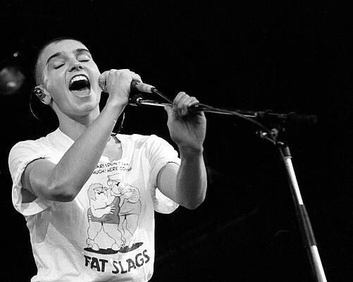 Singer Performing Live Wall Art