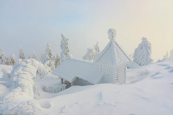 Small Digital Art - Small Ice Chapel And Spruces Covered In by Cornelia Dorr