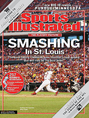Cardinals' Smashing Highlight Wall Art