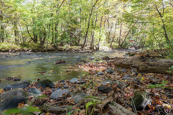Wall Art featuring the photograph Smoky Mountin Stream by Joe Leone