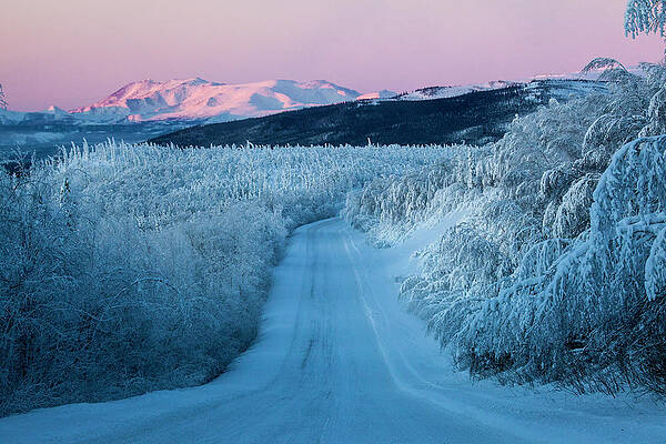 Snow Covered Landscape At Dalton Highway, Yukon-koyukuk Census Area, Alaska, Usa Print