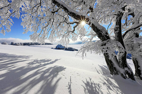Atmospheric Wall Art featuring the digital art Snow Covered Landscape, Germany by Reinhard Schmid