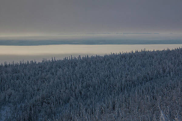Snow Covered Landscape With Morning Fog At Dalton Highway, Yukon-koyukuk Census Area, Alaska, Usa Print