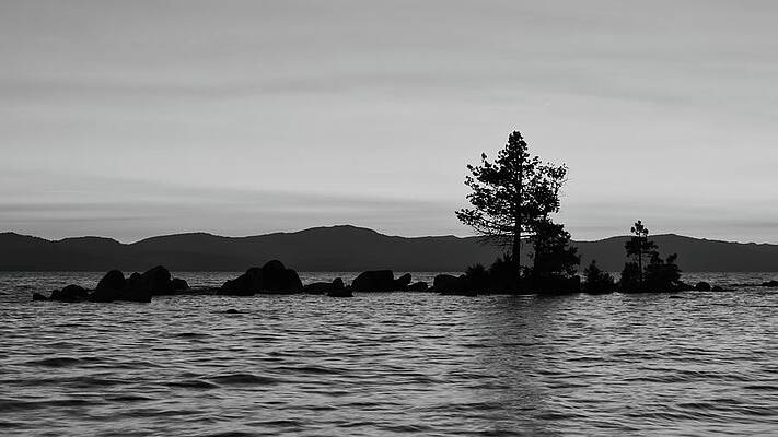 Nature Photograph - Solitary Tree by American Landscapes