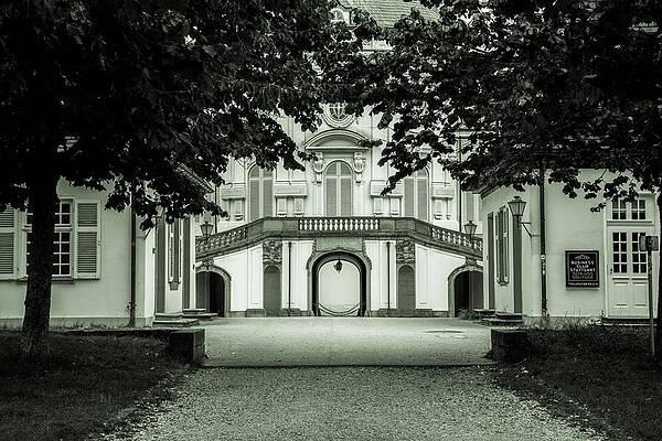 Tree Photograph - Solitude by Robert Grac