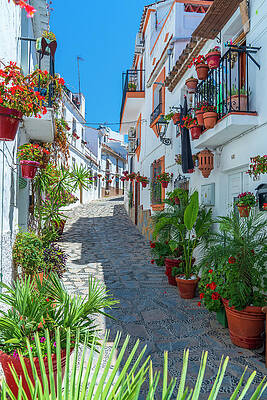 Day Wall Art featuring the digital art Spain, Andalusia, Estepona, Calle Fraile by Sebastian Wasek