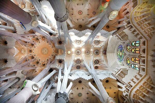 Eurasian Digital Art - Spain, Catalonia, Barcelona District, Barcelona, Sagrada Familia After Architect Antoni Gaudi by Anna Serrano