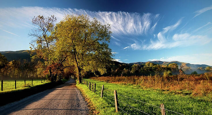 Wall Art featuring the photograph Sparks Lane by Jacalyn Ackerman