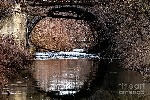 Spring Wall Art featuring the photograph Spring Begins by William Norton