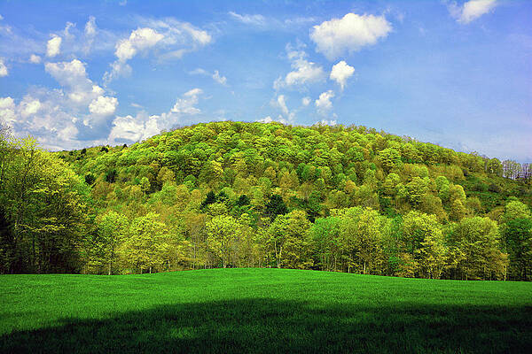 Spring Green In Vermont On The Appalachian Trail Print