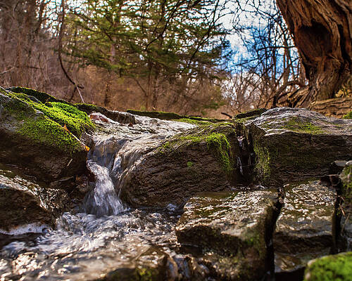Wall Art featuring the photograph Spring Runoff by Jeff Phillippi