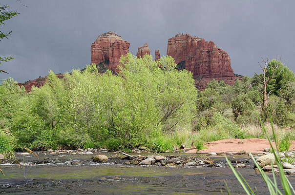 Arizona Photograph - Springtime At Oak Creek by Douglas Wielfaert