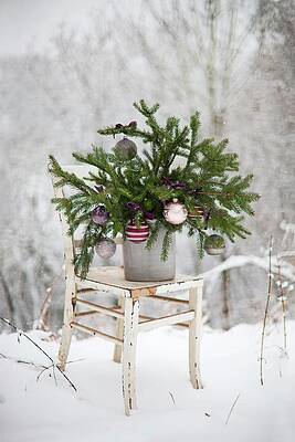 Spruce Branches Decorated With Christmas Baubles On Shabby-chic Chair In Snowy Landscape Print