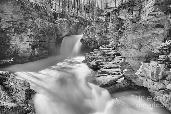 Wall Art featuring the photograph St. Mary Falls Spring 2019 Black And White by Adam Jewell