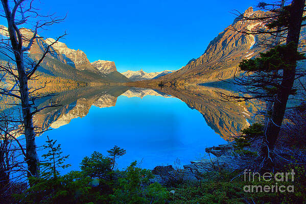 Wall Art featuring the photograph St Mary Sunrise Through The Trees by Adam Jewell