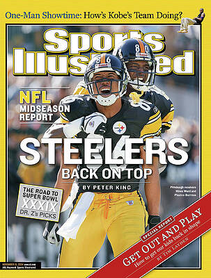 Steelers Victory Celebration Wall Art