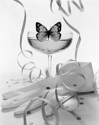 Butterfly Photograph - Still Life Of Hansen Gloves And Butterfly by William Grigsby