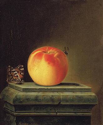 Insects Painting - Still Life With Apple And Insects by Justus Juncker