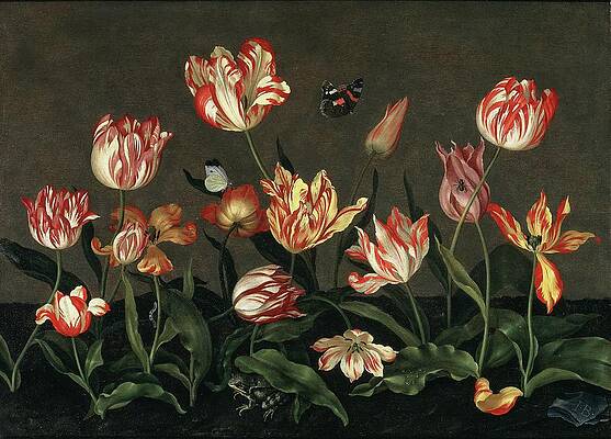 17th Century Painting - Still Life With Tulips by Johannes Bosschaert