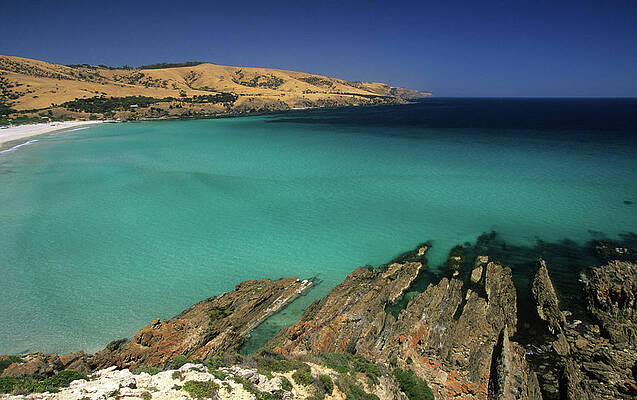Stokes Bay On The North Coast Of The Island, Kangaroo Island, South Australia, Australia Print