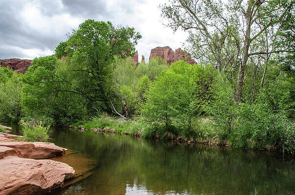 Arizona Photograph - Stream In The Desert by Douglas Wielfaert