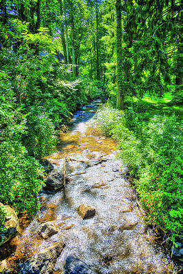 Green Wall Art featuring the photograph Stream In WV by Jonny D
