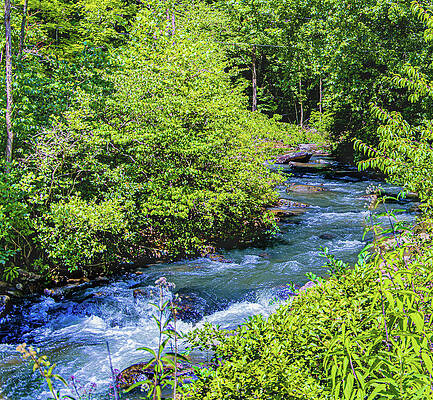 Green Wall Art featuring the photograph Streams Through WV by Jonny D