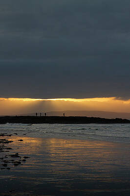 Nature Photograph - Striking Out by Mark Callanan
