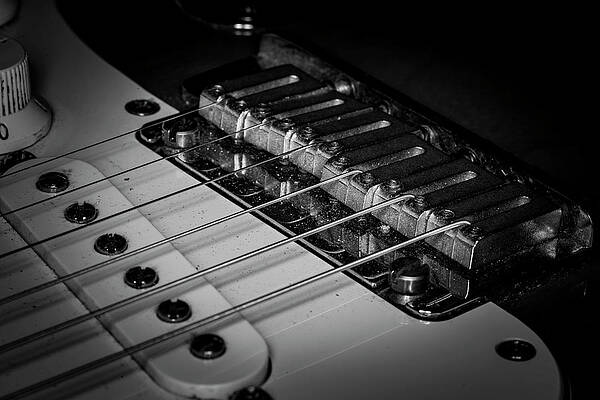 Musician Wall Art featuring the photograph Strings Series 1 by David Morefield