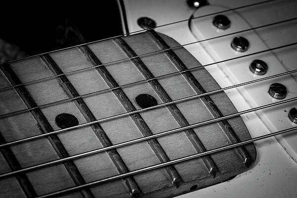 Musician Wall Art featuring the photograph Strings Series 12 by David Morefield