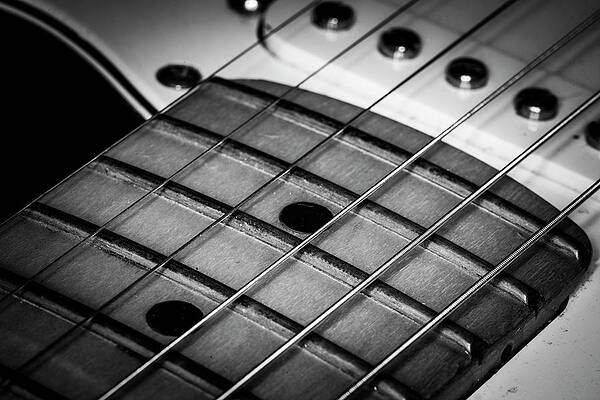 Musician Wall Art featuring the photograph Strings Series 13 by David Morefield