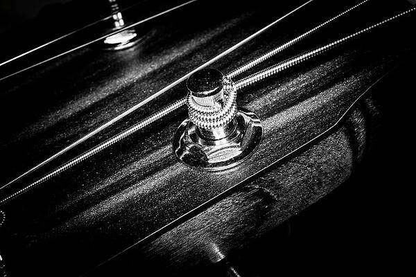 Musician Wall Art featuring the photograph Strings Series 14 by David Morefield