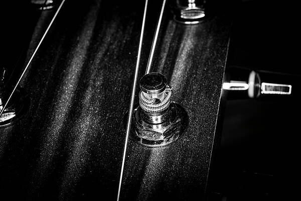 Musician Wall Art featuring the photograph Strings Series 15 by David Morefield