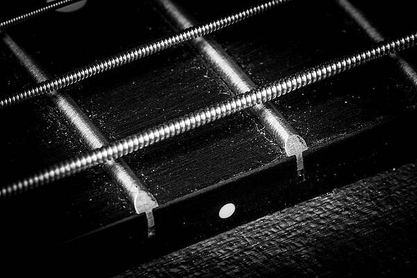 Musician Wall Art featuring the photograph Strings Series 17 by David Morefield