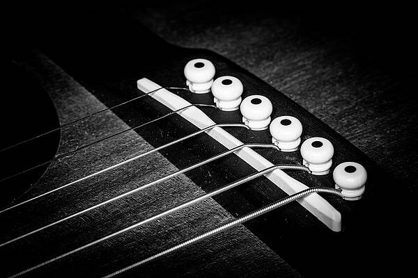 Musician Wall Art featuring the photograph Strings Series 18 by David Morefield