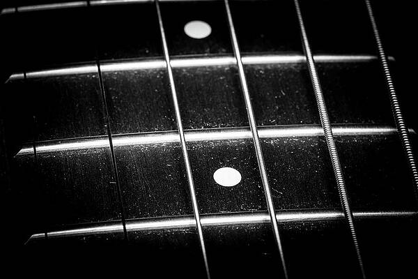 Musician Wall Art featuring the photograph Strings Series 19 by David Morefield