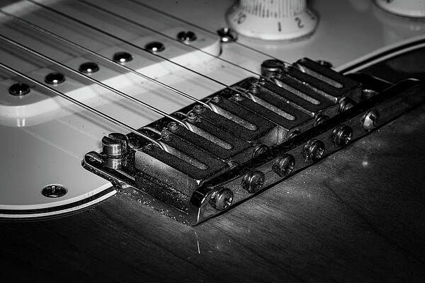 Musician Wall Art featuring the photograph Strings Series 2 by David Morefield