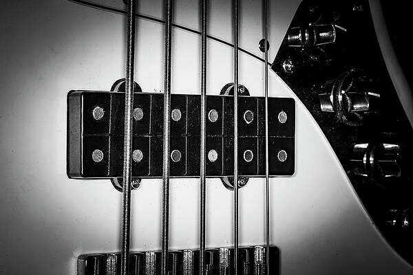Musician Wall Art featuring the photograph Strings Series 23 by David Morefield