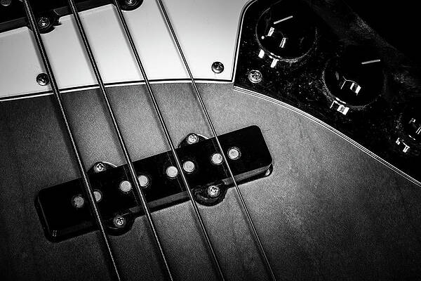 Musician Wall Art featuring the photograph Strings Series 24 by David Morefield