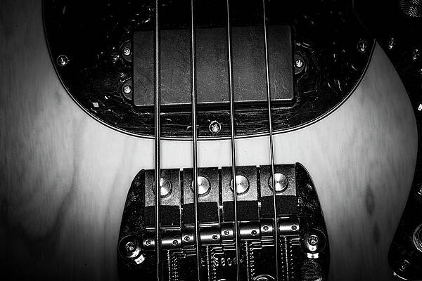 Musician Wall Art featuring the photograph Strings Series 25 by David Morefield