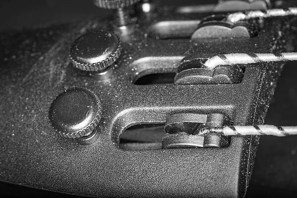 Musician Wall Art featuring the photograph Strings Series 28 by David Morefield