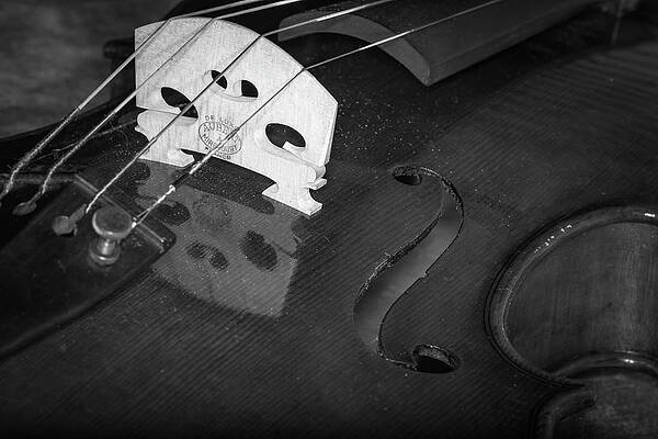 Musician Wall Art featuring the photograph Strings Series 37 by David Morefield