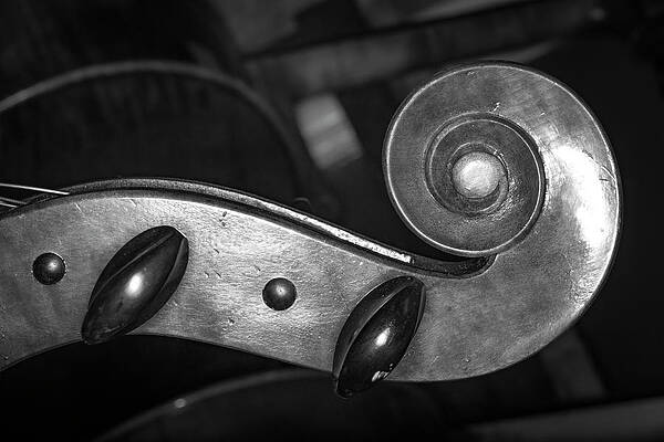 Musician Wall Art featuring the photograph Strings Series 39 by David Morefield