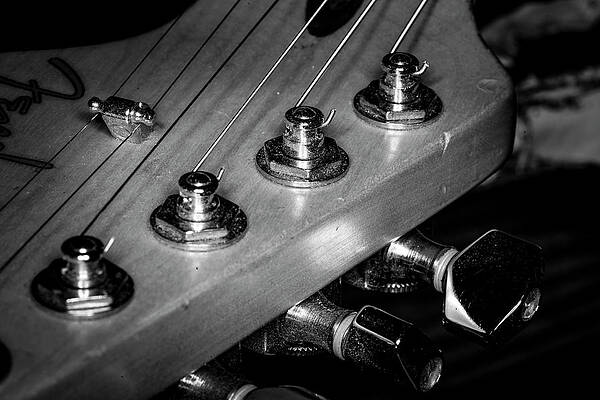 Musician Wall Art featuring the photograph Strings Series 4 by David Morefield