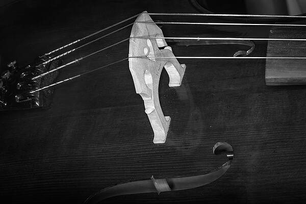 Musician Wall Art featuring the photograph Strings Series 42 by David Morefield